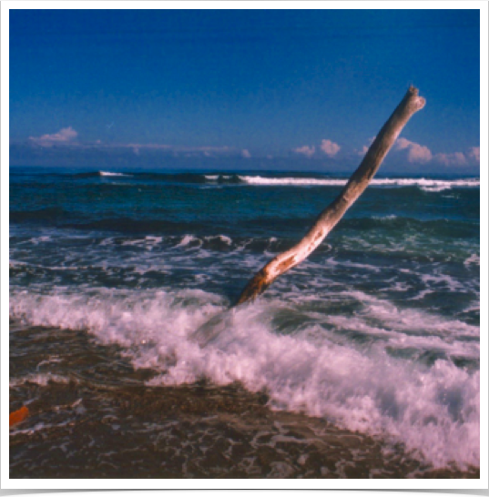 Cabarete Bay - on the northern coastline of Dominican Republic - formed and protected by a barrier coral reef.